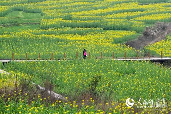 仁懷：山村田園好風(fēng)光
