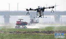 綠色點染希望的田野——全國春耕生產形勢綜述