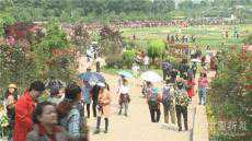 “五一”小長(zhǎng)假 湖南省共接待游客2322.31萬(wàn)人次