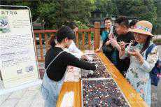 湖南東安：四月八牛王節(jié) 百米長宴食烏飯