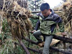 貴州臺(tái)江：駐村干部成了村里“自己人”