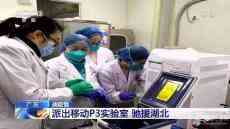 廣東派出移動P3實(shí)驗(yàn)室 馳援湖北