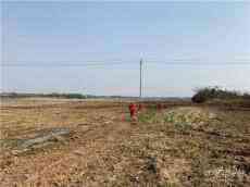 湖北沙洋：當(dāng)好電“醫(yī)生”，全力備春耕