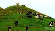 疫情過后 ?陪你一起打卡??解讀邵陽“最后一片凈土”密碼