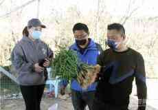 安徽廬江：機械＋電商 菜農(nóng)春耕出新招