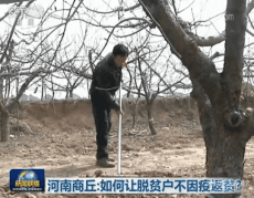 河南商丘：如何讓脫貧戶不因疫返貧？