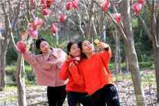 春歸?? 詩(shī)歌：唐海林