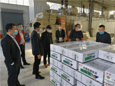 陜西華陰聯(lián)社：主動(dòng)對(duì)接110戶需求客戶 助復(fù)工復(fù)產(chǎn)再加力