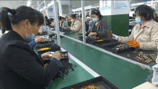 湖南嘉禾：政策“服務(wù)包”助力外貿(mào)企業(yè)逆勢(shì)上揚(yáng)