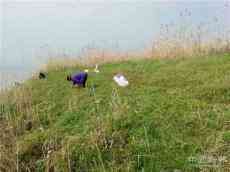 疫情過后，蘆筍情！