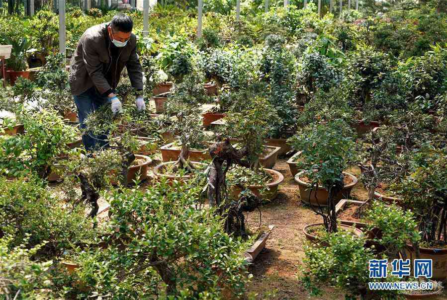 （來(lái)自一線的調(diào)查報(bào)告·圖文互動(dòng)）（7）搶出一個(gè)身位謀發(fā)展——河南許昌經(jīng)濟(jì)復(fù)蘇見(jiàn)聞