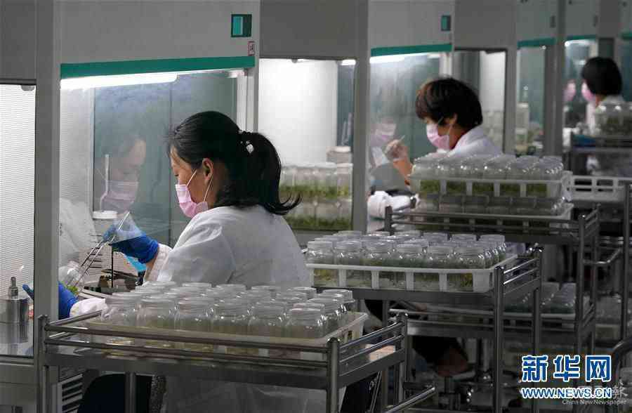 （來(lái)自一線的調(diào)查報(bào)告·圖文互動(dòng)）（6）搶出一個(gè)身位謀發(fā)展——河南許昌經(jīng)濟(jì)復(fù)蘇見(jiàn)聞