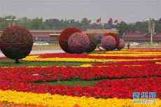 北京：花壇裝點(diǎn)天安門廣場