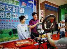 湖南衡南縣泉湖鎮(zhèn)：艾草飄香助脫貧，“直播帶貨”奔小康