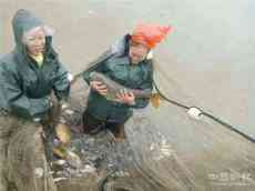 貴州黃平：一個(gè)養(yǎng)魚項(xiàng)目從“一”到“四”的蛻變！