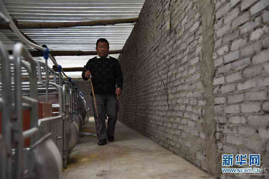 （新華全媒頭條·圖文互動）（6）刺梨花開滿山紅——記在貴州脫貧攻堅一線奮斗的殘疾人