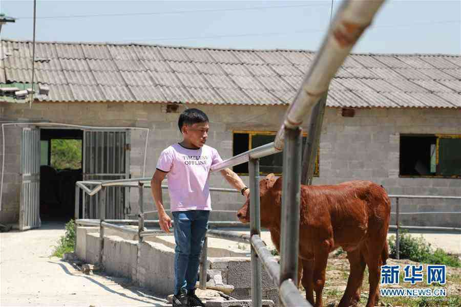 （新華全媒頭條·圖文互動）（8）刺梨花開滿山紅——記在貴州脫貧攻堅一線奮斗的殘疾人