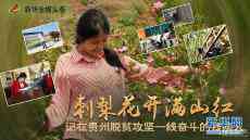 在貴州脫貧攻堅(jiān)一線奮斗的殘疾人