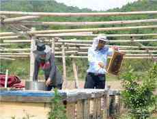 安徽廬江：旅游＋消費(fèi)　蜂蜜醉游人