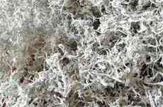 湖南嘉禾：野生小莓茶 變身村民增收“法寶”