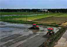 安徽廬江：小滿時(shí)節(jié)農(nóng)事忙