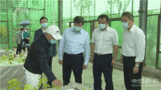 湖北省扶貧辦主任胡超文前往武穴市調(diào)研脫貧攻堅(jiān)工作