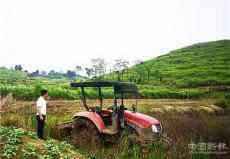 湖南新田：耕地拋荒“清零”掀高潮