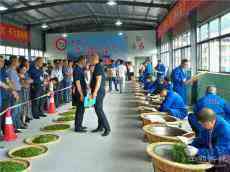 邵陽(yáng)茶葉技能大賽手工炒制傳承技藝