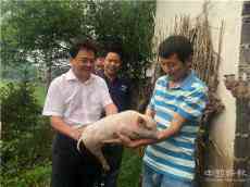 湖南洞口：縣長(zhǎng)情系百姓暖民心