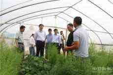 安徽廬江：開展消費扶貧助力脫貧攻堅專題調(diào)研