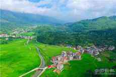 砥礪前行邁新程——水廟鎮(zhèn)黨建引領(lǐng)經(jīng)濟(jì)社會發(fā)展與展望