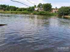 村民鴨蛋滯銷，常寧市德寶膳食公司積極解憂