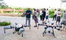 新寧黃龍三星村開展臍橙植?！帮w防”作業(yè) ?