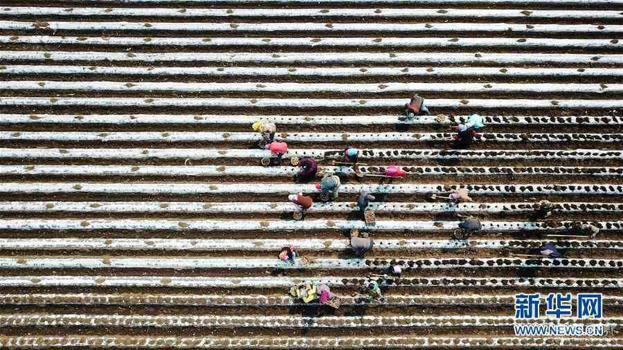 （在習(xí)近平新時(shí)代中國(guó)特色社會(huì)主義思想指引下——新時(shí)代新作為新篇章·習(xí)近平總書記關(guān)切事·圖文互動(dòng)）（2）讓每一寸耕地都成為豐收的沃土——我國(guó)加強(qiáng)耕地保護(hù)推進(jìn)“藏糧于地”