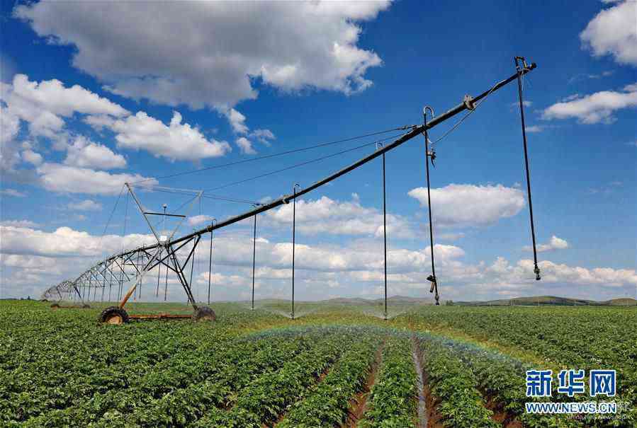 （在習(xí)近平新時(shí)代中國(guó)特色社會(huì)主義思想指引下——新時(shí)代新作為新篇章·習(xí)近平總書記關(guān)切事·圖文互動(dòng)）（7）讓每一寸耕地都成為豐收的沃土——我國(guó)加強(qiáng)耕地保護(hù)推進(jìn)“藏糧于地”