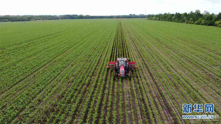 （在習(xí)近平新時(shí)代中國(guó)特色社會(huì)主義思想指引下——新時(shí)代新作為新篇章·習(xí)近平總書記關(guān)切事·圖文互動(dòng)）（5）讓每一寸耕地都成為豐收的沃土——我國(guó)加強(qiáng)耕地保護(hù)推進(jìn)“藏糧于地”