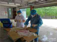 湖南洞口縣對肉食冷凍企業(yè)進(jìn)行新冠病毒抽樣檢測