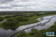 探訪黑瞎子島國(guó)家級(jí)自然保護(hù)區(qū)