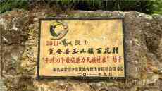 貴州甕安苗家小伙帶領村民養(yǎng)“特禽”發(fā)家致富?