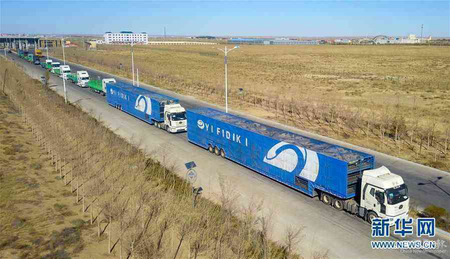 （社會）（3）中國開始接收蒙古國3萬只“捐贈(zèng)羊”