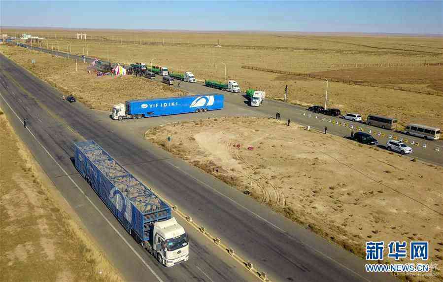 （社會）（8）中國開始接收蒙古國3萬只“捐贈(zèng)羊”