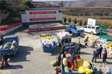 甘肅慶陽(yáng)白瓜子讓群眾笑了，錢袋子鼓了