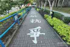 香港科大“播獨(dú)”標(biāo)語(yǔ)6年仍未清 學(xué)術(shù)自由≠包庇違法