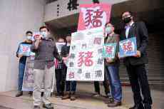 臺立法機構(gòu)年度代表字票選 “豬”字出線獲選