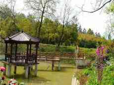 傾力紫云峰打造“后花園”  毛易林場(chǎng)建設(shè)掠影追夢(mèng)