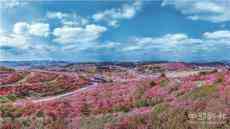 2021年貴州春季旅游推介會(huì)在武漢召開