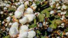 臺媒警告蔡英文當(dāng)局：別在新疆議題上瞎起哄