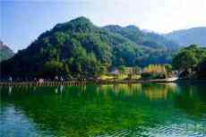 溫州這些基地，讓人自由“森”呼吸！