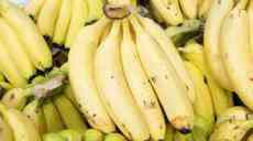 臺灣香蕉銷日本再傳農(nóng)藥殘留超標(biāo) 島內(nèi)網(wǎng)友道出真相