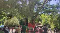 湖北：紅色旅游人氣高漲，端午市場秩序安全平穩(wěn)有序